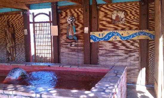 Riverbend Hot Springs pools on the Rio Grande, Truth or Consequences, New Mexico