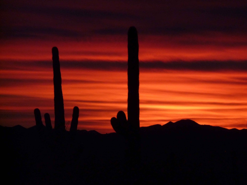Scenes from the 2014 road trip through the American Southwest